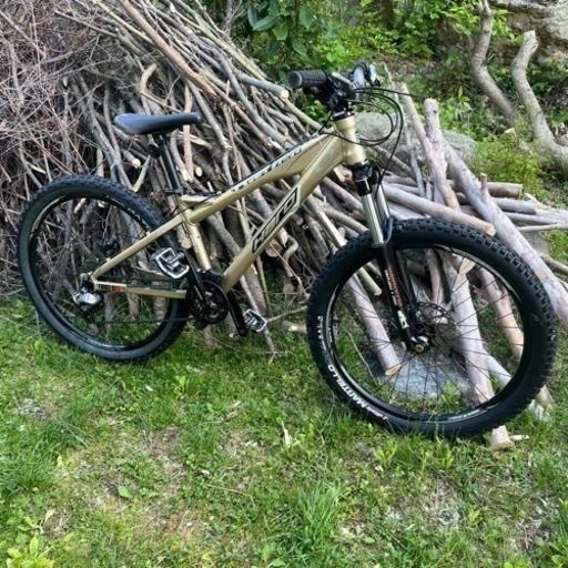 自転車 マウンテンバイク