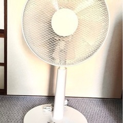 家電 季節、空調家電 扇風機