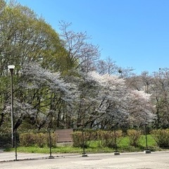 真駒内公園内の維持管理雑務等のお仕事です。