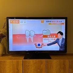 家電 テレビ 液晶テレビ