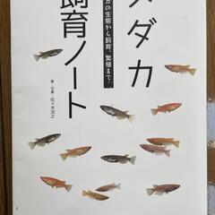 メダカの本