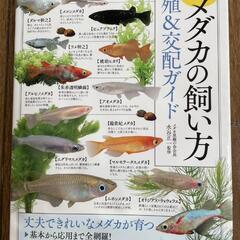 メダカの繁殖、交配ガイド本
