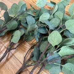IKEA ユーカリ フェイクグリーン 観葉植物の画像