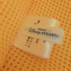 東京ディズニーリゾート　30周年　ファンキャップ　ミッキーマウスの画像