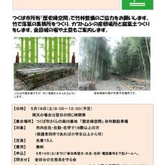 竹林整備体験