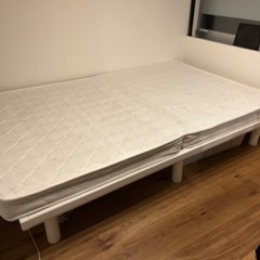 セミダブルベット