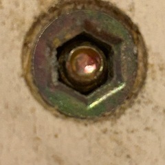 セミダブルベットの画像