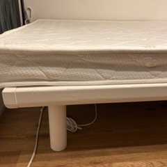 セミダブルベットの画像