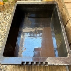 メダカ　NV BOX 22 