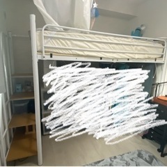 階段付きロフトベッド予約受付