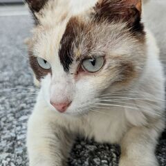 ♥ずっとの家族ができました♥