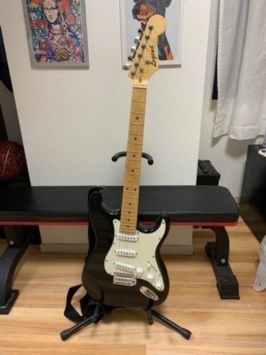 楽器 弦楽器、ギター