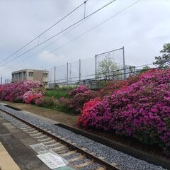 ゆるりとつながろう(終了)