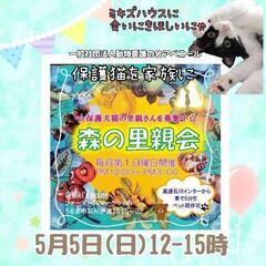 5月5日森の里親会