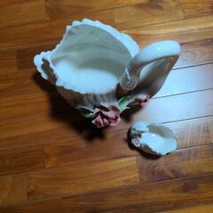 ハクチョウの画像