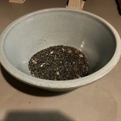 【決まりました】金魚鉢