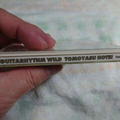 ❄　布袋寅泰 / ギタリズム・ワイルド Hotei Tomoyasu / GUITARHYTHM WILD の画像