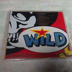 ❄　布袋寅泰 / ギタリズム・ワイルド Hotei Tomoyasu / GUITARHYTHM WILD の画像