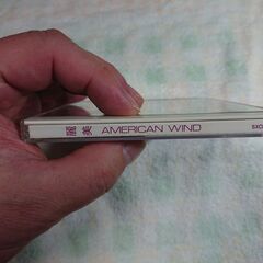 ❄　American Wind 麗美（REIMY）の画像