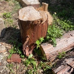 薪　DIY　生活雑貨 家庭用品 ガーデニング