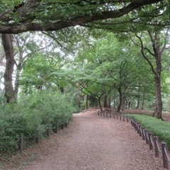 稲城・多摩・町田付近でランニングorトレラン