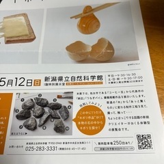 キボリノコンノ展　チケットの画像