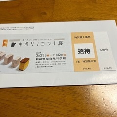 キボリノコンノ展　チケット