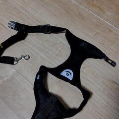 ハーネス リード 小型犬 猫　Lサイズの画像