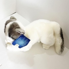 最終お値下げ❣️【新品未使用品】ブリティッシュショートヘア 青い猫のぬいぐるみ リアル  約30センチの画像