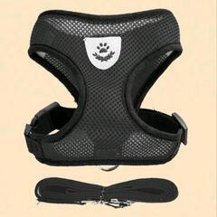 ハーネス リード 小型犬 猫　Lサイズ