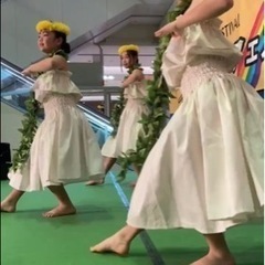 フラダンス生徒募集の画像