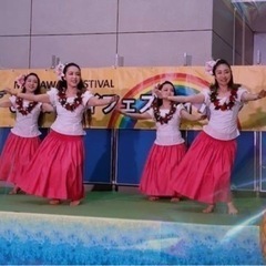 フラダンス生徒募集の画像