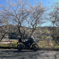 🏍ツーリング仲間募集中２０２４年春