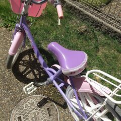 エコキッズ 自転車の中古が安い！激安で譲ります・無料で