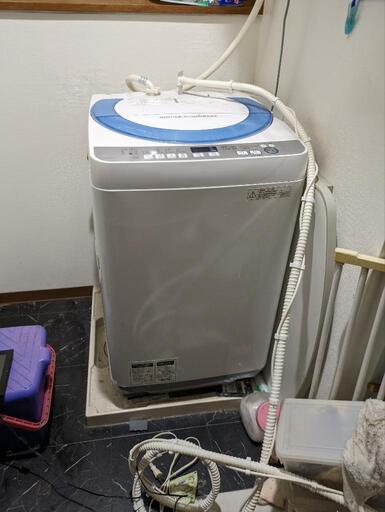 家電 生活家電 洗濯機