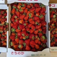 いちご