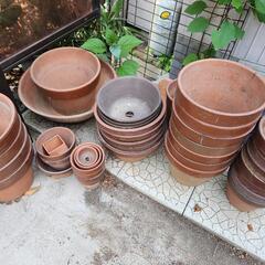 生活雑貨 家庭用品 ガーデニング