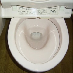 トイレ掃除専門です（土日祝と平日19時以降※深夜早朝大丈夫です） − 奈良県