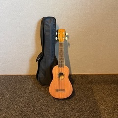 楽器 弦楽器、ギター