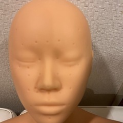 お値下げ‼︎マネキン 頭 ヘッド デコルテ フェイスマネキン マッサージ練習用 マネキンの画像