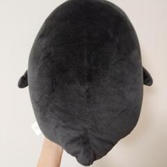 【決まりました】テイコウペンギンぬいぐるみの画像