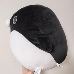 【決まりました】テイコウペンギンぬいぐるみの画像