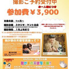 我が家の天使写展示会モデル募集中。