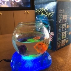 おもちゃ アクアリウム