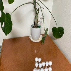 LED電球12個の画像