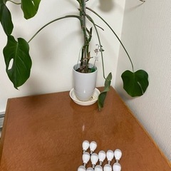 LED電球12個