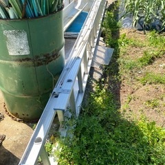 ハセガワ伸縮ハシゴ（お話し中）の画像