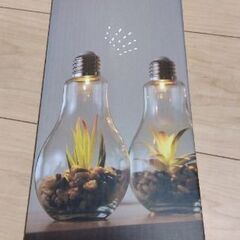 新品✨おしゃれなインテリアテラリウム