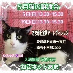 猫ちゃんの譲渡会(A-5)