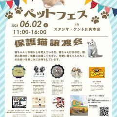 ペットフェス（猫の譲渡会）